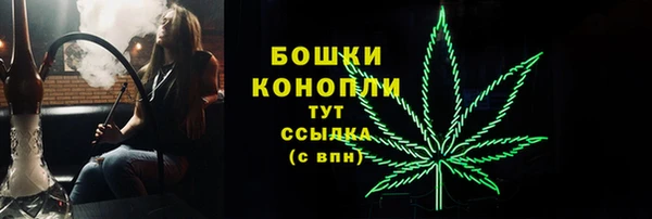 шишки Мегион