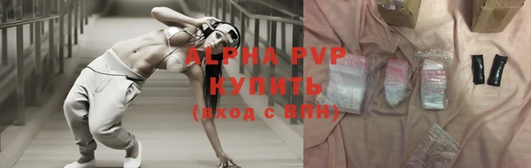 шишки Мегион