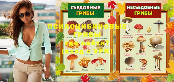 ECSTASY Медвежьегорск