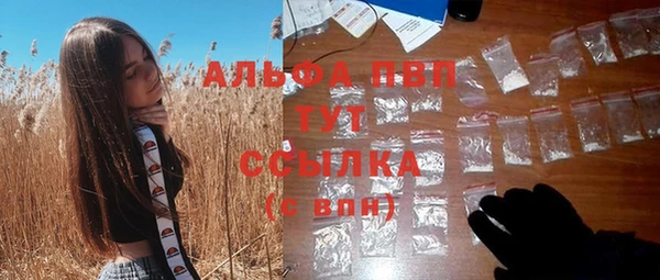 крисы Магадан