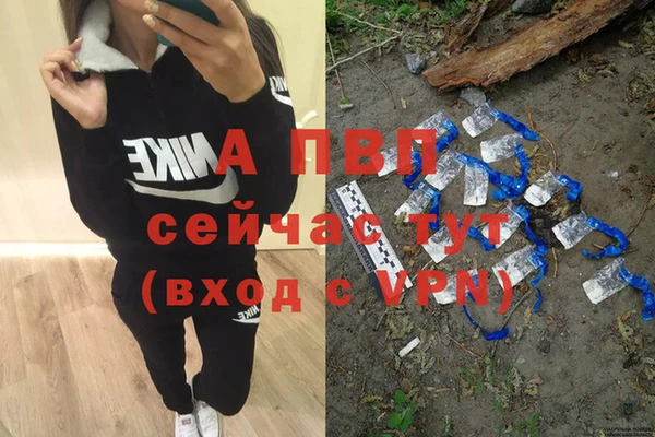 крисы Магадан