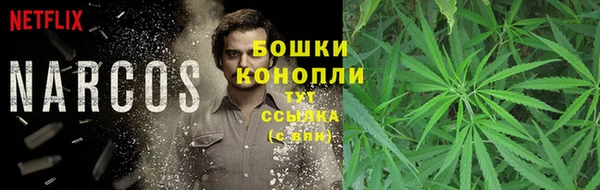 крисы Магадан