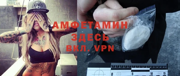 шишки Мегион