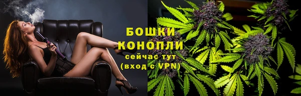 сатива Березники