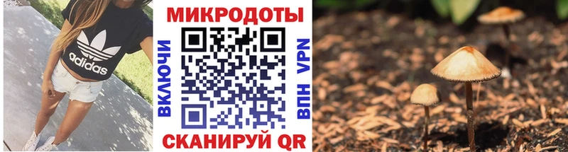 Купить где  Ливны  Псилоцибиновые грибы GOLDEN TEACHER 